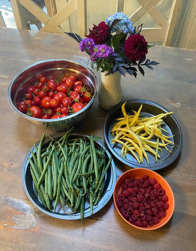 Our Garden