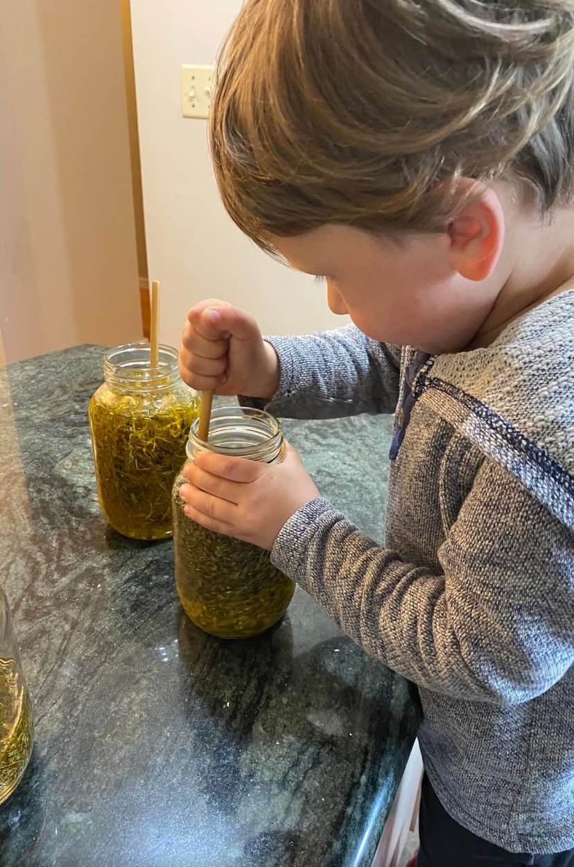 The Ultimate Gardener's Salve